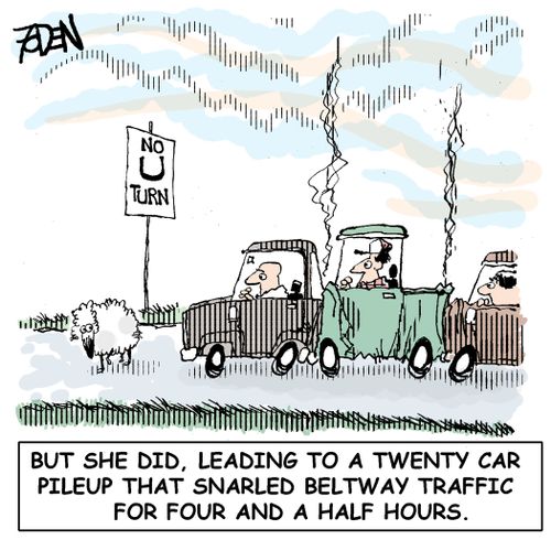 No U (Ewe) Turn: But she did, leading to a twenty car pileup that snarled beltway traffic for four and a half hours.