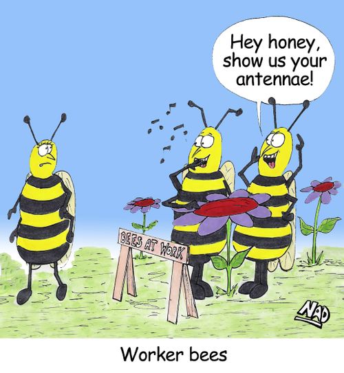 Worker bees - 'Hey honey, show us your antennae!'