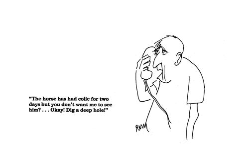 'The horse has had colic for two days but you don't want me to see him?'