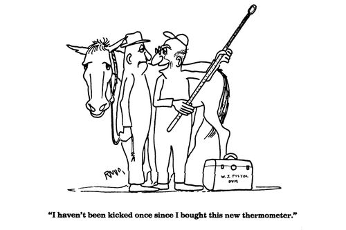 'I haven't been kicked once since I bought this new thermometer.'