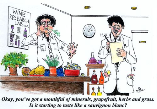 'Okay, you've got a mouthful of minerals, grapefruit, herbs and grass. Is it starting to taste like a sauvignon blanc?'