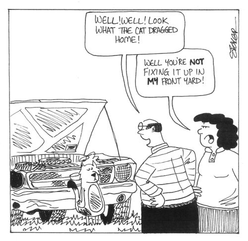'Well! Well! Look what the cat dragged home!...'