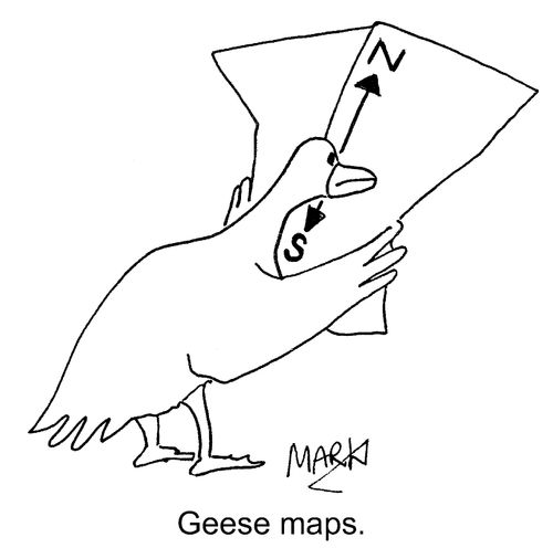 Geese Maps