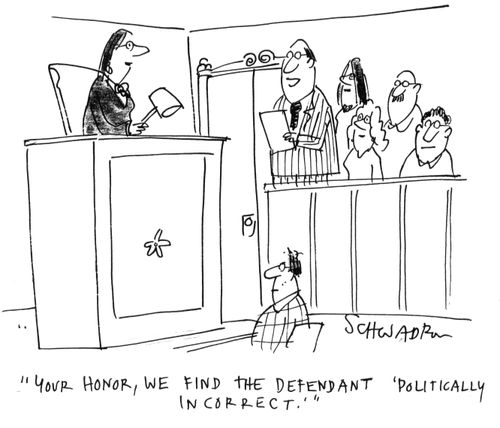 'Your honour, we find the defendent 'politically incorrect'.'