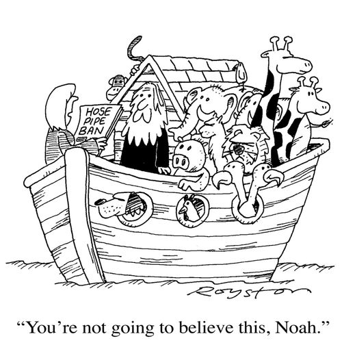 Paper reads HOSE-PIPE BAN: Noah's wife says: 'You're not going to believe this, Noah.'