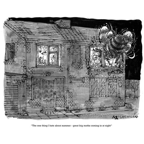 'The one thing I hate about summer - great big moths coming in at night.'