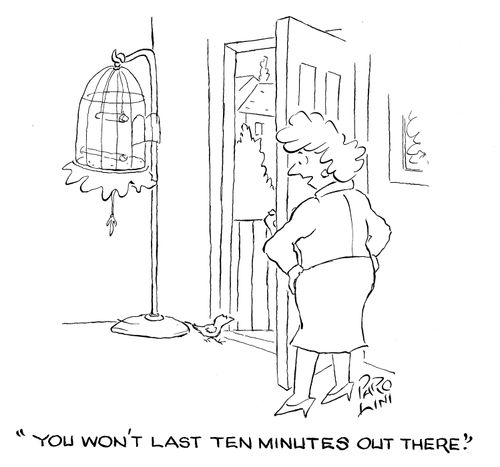 'You won't last ten minutes out there.'