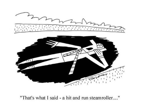 'That's what I said - a hit and run steamroller...'