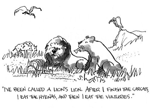 'I've been called a lion's lion.  After I finsh the carcass I eat the hyenas, and then I eat the vultures.'