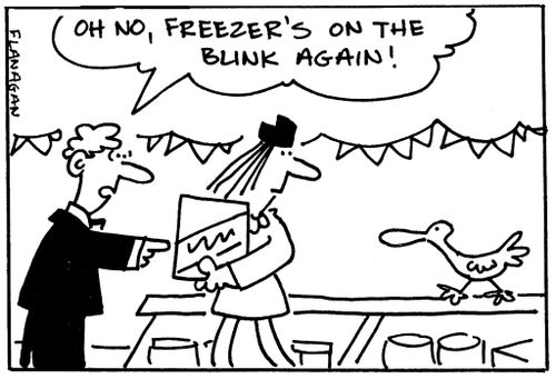 'Oh no, freezer's on the blink again!'