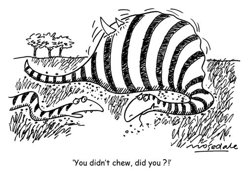 'You didn't chew, did you ?!'