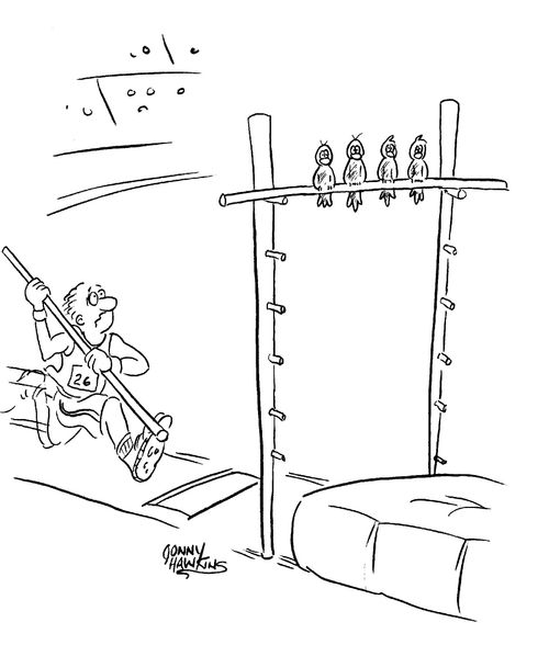Pole vaulter sees birds sitting on crossbar.