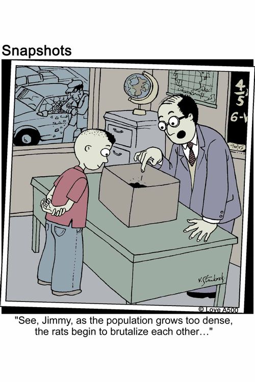 'See, Jimmy, as the population grows too dense, the rats begin to brutalize each other...'