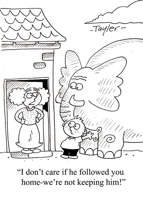 'I don't care if he followed you home-we're not keeping him!'