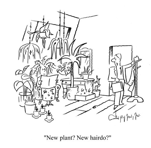 'New plant? New hairdo?'