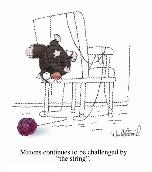 Mittens is challenged by the string.