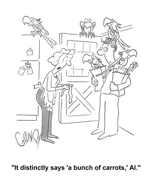 Wife to husband with grocery sacks loaded with parrots: 'It distinctly says 'a bunch of carrots,' Al.'