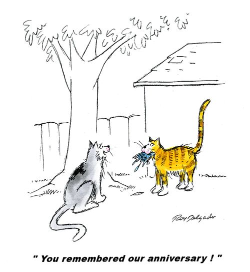 'You remembered our anniversary!'