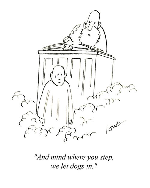 'And mind where you step, we let dogs in.'