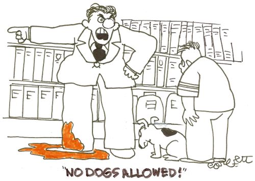NO DOGS ALLOWED!