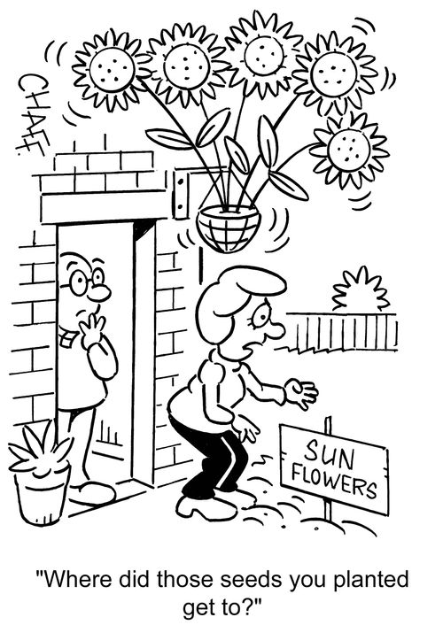 'Where did those seeds you planted get to?'