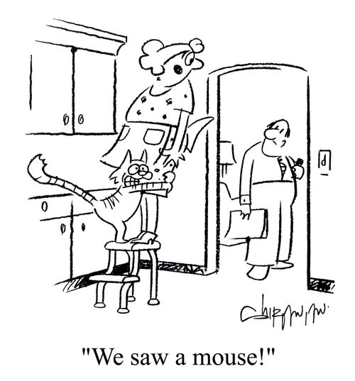 'We saw a mouse!'