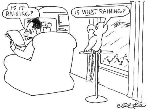 'Is it raining?'