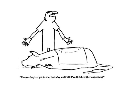 'I know they've got to die, but why wait 'till I've finished the last stitch?'