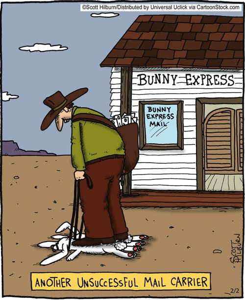 Bunny express,