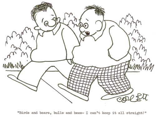 'Birds and bears, bulls and bees- I can't keep it all straight'
