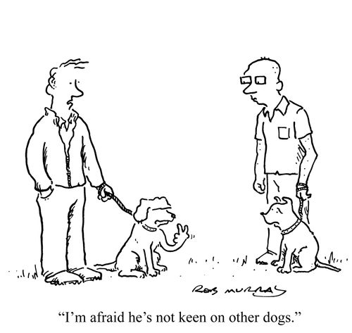 'I'm afraid he's not keen on other dogs.'