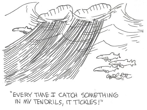 'Every time I catch something in tendrils, it tickles!'