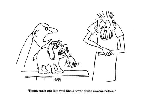 'Honey must not like you!  She's never bitten anyone before.'