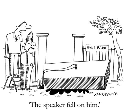 'The speaker fell on him.'