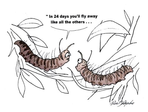 'In 24 days you'll fly away like all the others...'