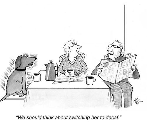 'We should think about switching her to decaf.'