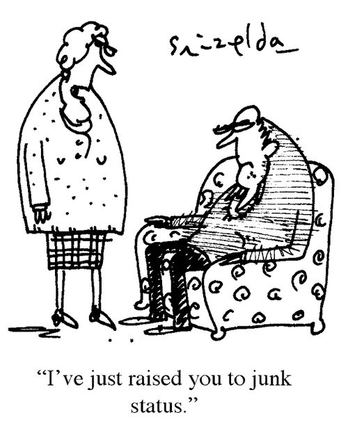 'I've just raised you to junk status.'