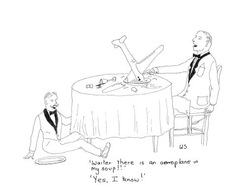 'Waiter there is an aeroplane in my soup!'