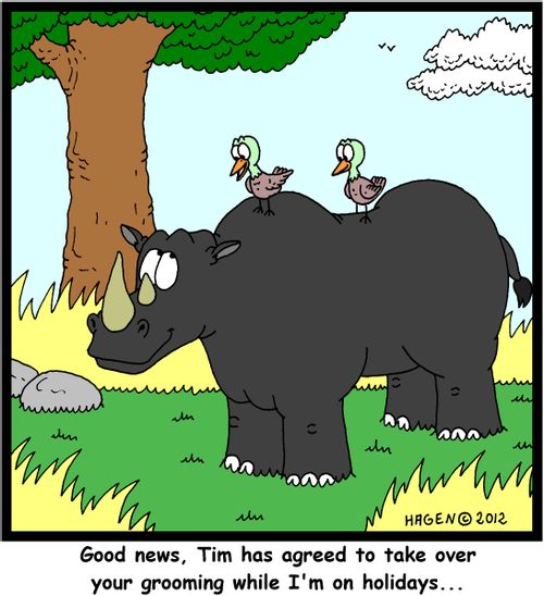 'Good news, Tim has agreed to take over your grooming while I'm on holidays...'
