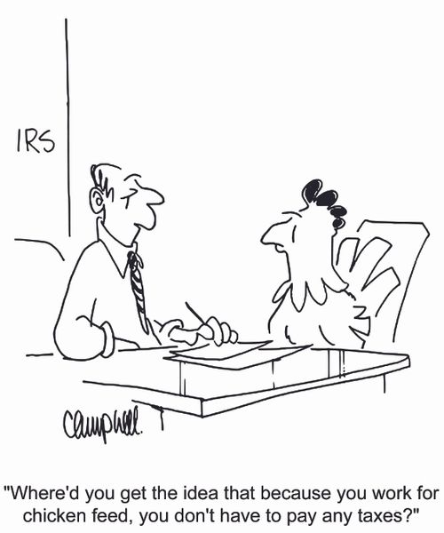 'Where'd you get the idea that because you work for chicken feed, you don't have to pay any taxes?'