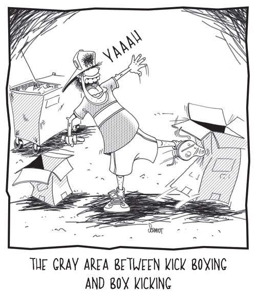 The gray area between kick boxing and box kicking.