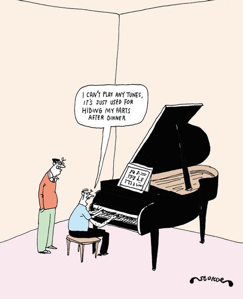'I can't play any tunes, it's just used for hiding my farts after dinner.'