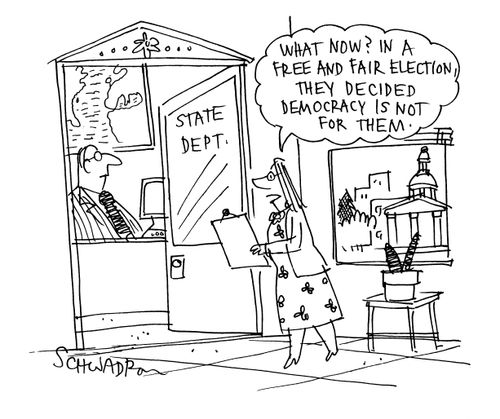 'What now? In a free and fair election, they decided democracy is not for them.'
