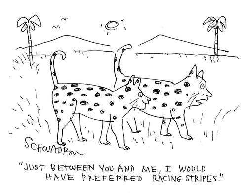 'Just between you and me, I would have preferred racing stripes.'