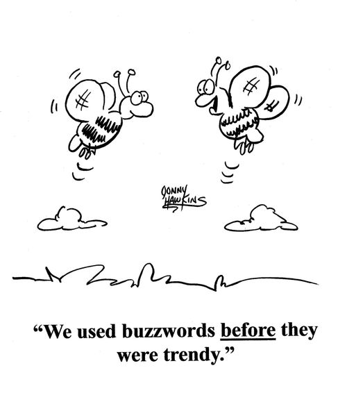 Bee to bee: 'We used buzzwords before they were trendy.'