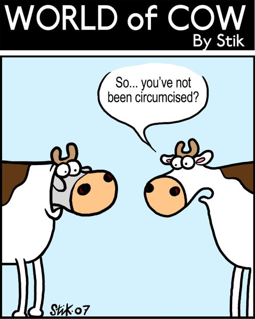 So....you've not been circuncised?