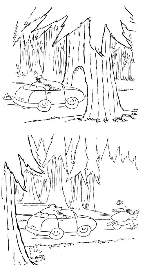 The hijacking bear.