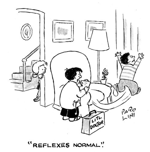 'Reflexes normal.'