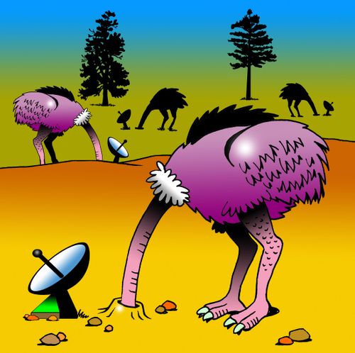 Ostrich TV.