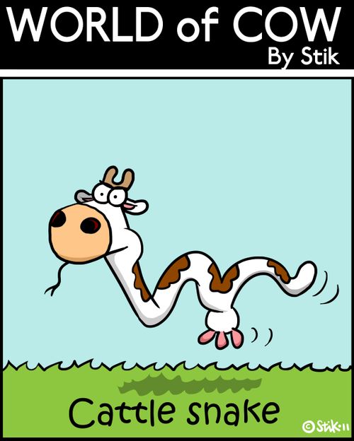 A Cattle Snake